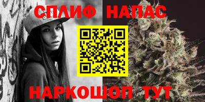 Альфа ПВП Нарткала