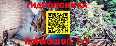 ГАЛЛЮЦИНОГЕННЫЕ ГРИБЫ Нальчик
