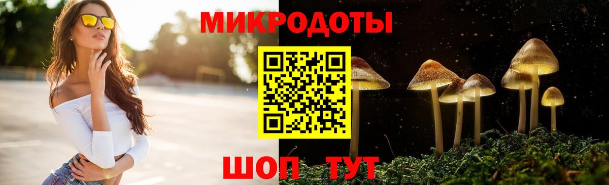 Псилоцибиновые грибы мицелий Торжок